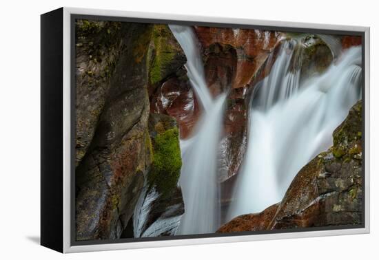 USA, Montana, Glacier National Park. Avalanche Creek Falls-Rona Schwarz-Framed Premier Image Canvas