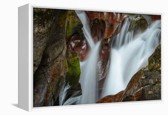 USA, Montana, Glacier National Park. Avalanche Creek Falls-Rona Schwarz-Framed Premier Image Canvas