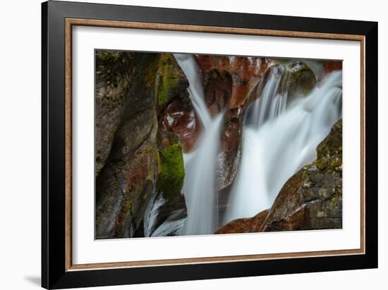 USA, Montana, Glacier National Park. Avalanche Creek Falls-Rona Schwarz-Framed Photographic Print