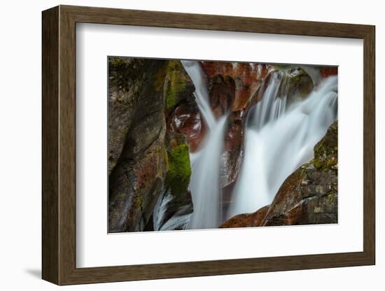 USA, Montana, Glacier National Park. Avalanche Creek Falls-Rona Schwarz-Framed Photographic Print