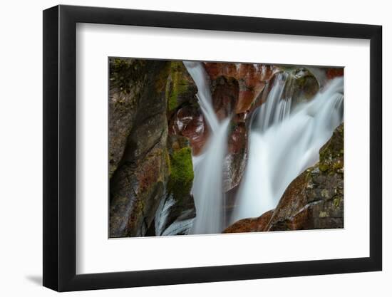 USA, Montana, Glacier National Park. Avalanche Creek Falls-Rona Schwarz-Framed Photographic Print