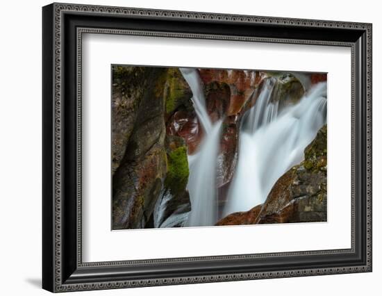 USA, Montana, Glacier National Park. Avalanche Creek Falls-Rona Schwarz-Framed Photographic Print