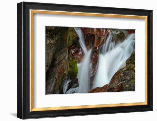 USA, Montana, Glacier National Park. Avalanche Creek Falls-Rona Schwarz-Framed Photographic Print