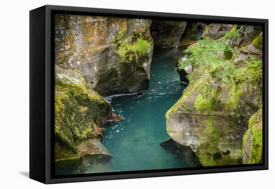 USA, Montana, Glacier National Park. Avalanche Creek-Rona Schwarz-Framed Premier Image Canvas