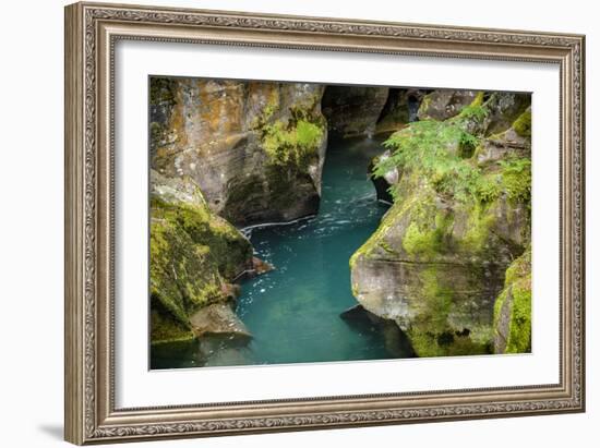 USA, Montana, Glacier National Park. Avalanche Creek-Rona Schwarz-Framed Photographic Print