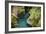 USA, Montana, Glacier National Park. Avalanche Creek-Rona Schwarz-Framed Photographic Print