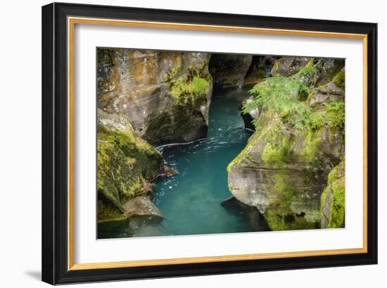 USA, Montana, Glacier National Park. Avalanche Creek-Rona Schwarz-Framed Photographic Print