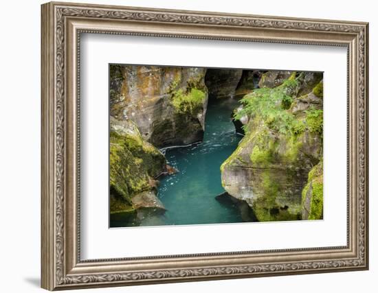 USA, Montana, Glacier National Park. Avalanche Creek-Rona Schwarz-Framed Photographic Print