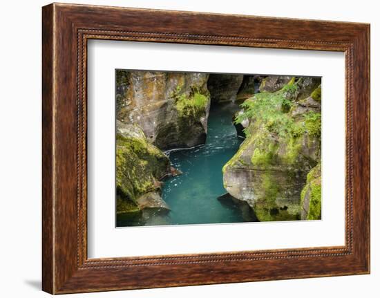 USA, Montana, Glacier National Park. Avalanche Creek-Rona Schwarz-Framed Photographic Print