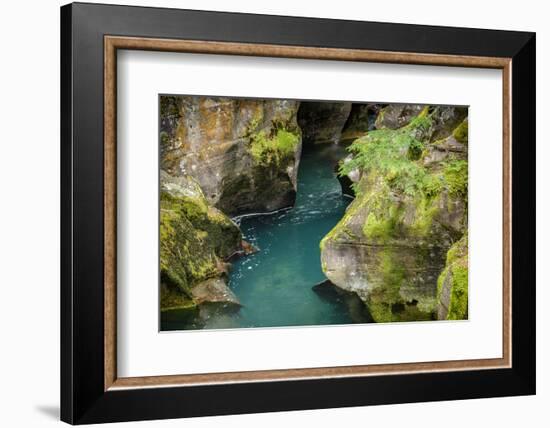 USA, Montana, Glacier National Park. Avalanche Creek-Rona Schwarz-Framed Photographic Print