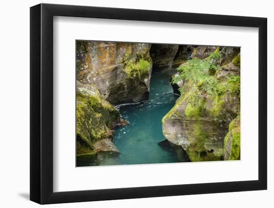 USA, Montana, Glacier National Park. Avalanche Creek-Rona Schwarz-Framed Photographic Print