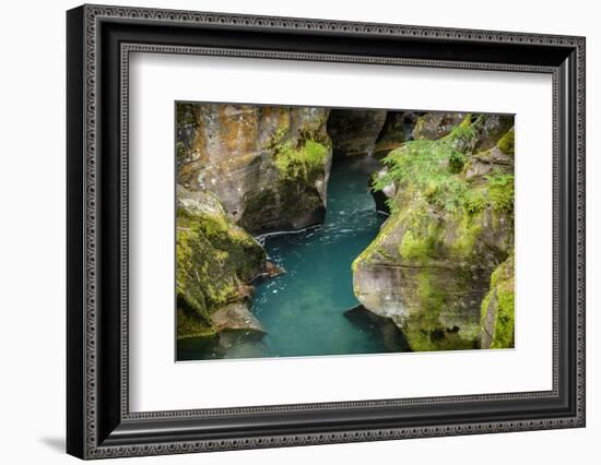 USA, Montana, Glacier National Park. Avalanche Creek-Rona Schwarz-Framed Photographic Print