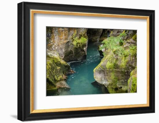 USA, Montana, Glacier National Park. Avalanche Creek-Rona Schwarz-Framed Photographic Print