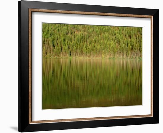 USA, Montana, Glacier National Park, Conifer Forest Reflects in Kintla Lake-John Barger-Framed Photographic Print