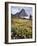 USA, Montana, Glacier National Park, Wildflowers and a Mountain Peak-Christopher Talbot Frank-Framed Photographic Print