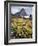 USA, Montana, Glacier National Park, Wildflowers and a Mountain Peak-Christopher Talbot Frank-Framed Photographic Print