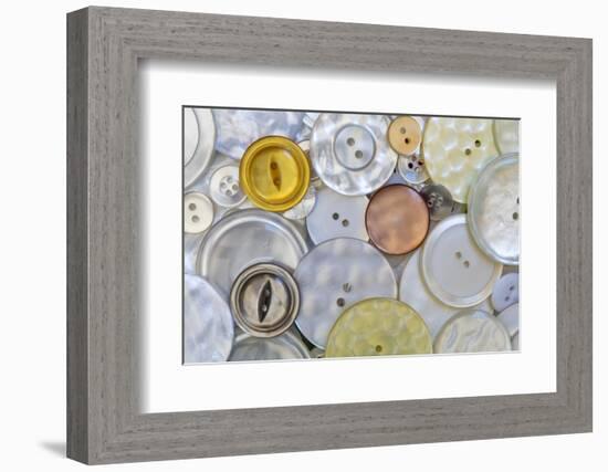 USA, Montana, Missoula. Mother-of-pearl buttons.-Jaynes Gallery-Framed Photographic Print