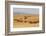 USA, Montana, near Drummond. Bales of hay in a field that has just been harvested.-Tom Haseltine-Framed Photographic Print