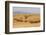 USA, Montana, near Drummond. Bales of hay in a field that has just been harvested.-Tom Haseltine-Framed Photographic Print