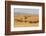 USA, Montana, near Drummond. Bales of hay in a field that has just been harvested.-Tom Haseltine-Framed Photographic Print