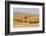 USA, Montana, near Drummond. Bales of hay in a field that has just been harvested.-Tom Haseltine-Framed Photographic Print