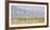 USA, Montana, Red Rock Lakes, Flock of Franklyns Gulls in Flight-Elizabeth Boehm-Framed Photographic Print