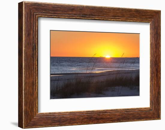 USA, MS, Bay St Louis. Sun Sets Gulf of Mexico. Beach Grasses-Trish Drury-Framed Photographic Print