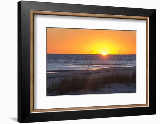 USA, MS, Bay St Louis. Sun Sets Gulf of Mexico. Beach Grasses-Trish Drury-Framed Photographic Print