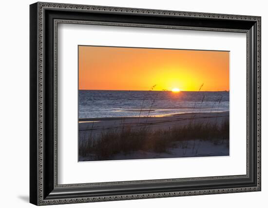 USA, MS, Bay St Louis. Sun Sets Gulf of Mexico. Beach Grasses-Trish Drury-Framed Photographic Print