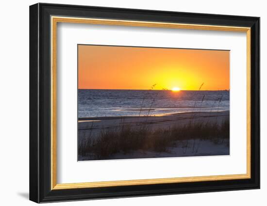 USA, MS, Bay St Louis. Sun Sets Gulf of Mexico. Beach Grasses-Trish Drury-Framed Photographic Print