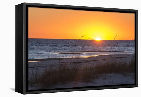 USA, MS, Bay St Louis. Sun Sets Gulf of Mexico. Beach Grasses-Trish Drury-Framed Premier Image Canvas