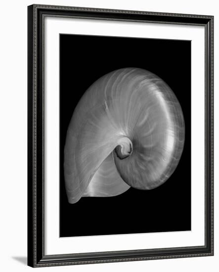 Usa, Nautilus Oblique-John Ford-Framed Photographic Print