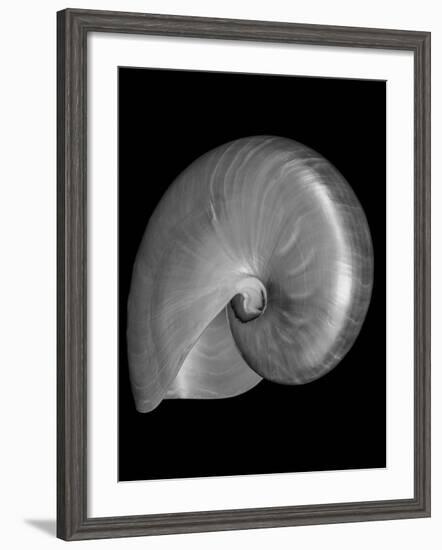 Usa, Nautilus Oblique-John Ford-Framed Photographic Print