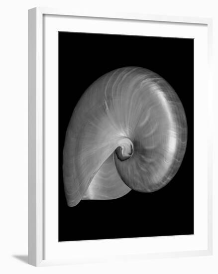 Usa, Nautilus Oblique-John Ford-Framed Photographic Print