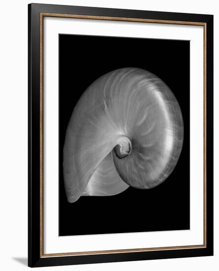 Usa, Nautilus Oblique-John Ford-Framed Photographic Print