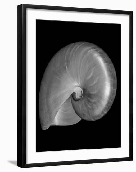 Usa, Nautilus Oblique-John Ford-Framed Photographic Print