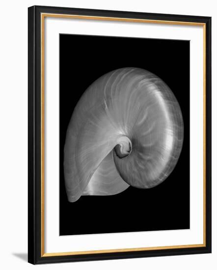 Usa, Nautilus Oblique-John Ford-Framed Photographic Print