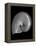 Usa, Nautilus Oblique-John Ford-Framed Premier Image Canvas