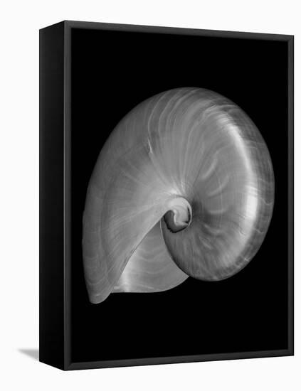 Usa, Nautilus Oblique-John Ford-Framed Premier Image Canvas