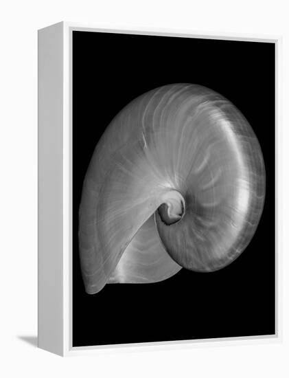 Usa, Nautilus Oblique-John Ford-Framed Premier Image Canvas