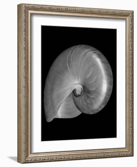 Usa, Nautilus Oblique-John Ford-Framed Photographic Print