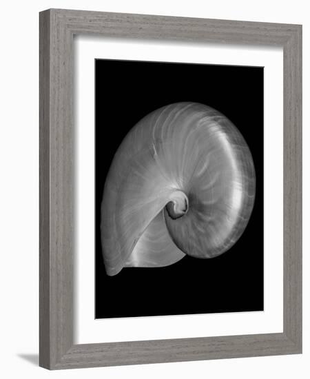 Usa, Nautilus Oblique-John Ford-Framed Photographic Print