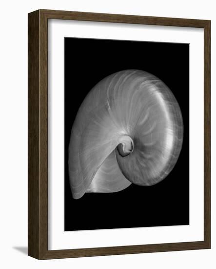 Usa, Nautilus Oblique-John Ford-Framed Photographic Print