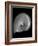 Usa, Nautilus Oblique-John Ford-Framed Photographic Print