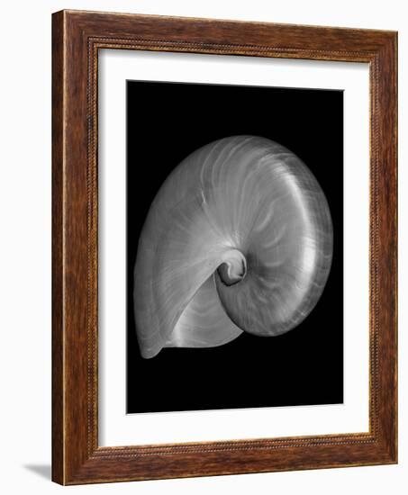 Usa, Nautilus Oblique-John Ford-Framed Photographic Print