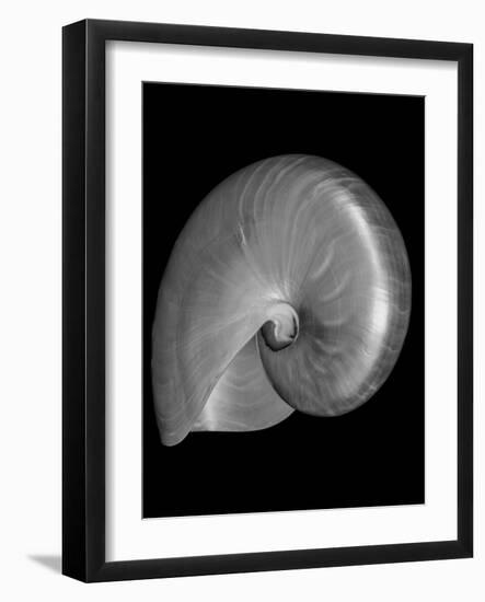 Usa, Nautilus Oblique-John Ford-Framed Photographic Print