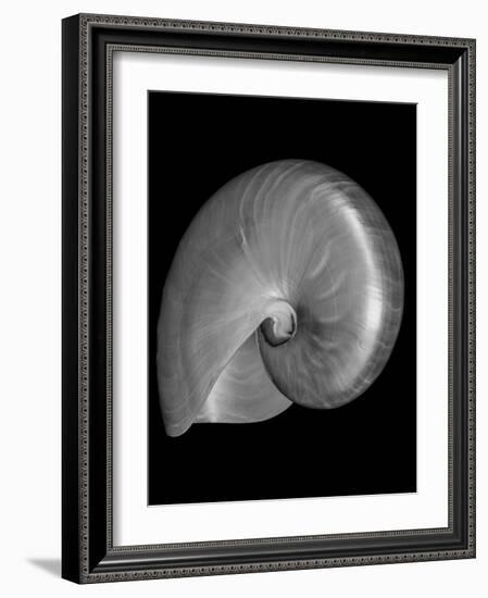 Usa, Nautilus Oblique-John Ford-Framed Photographic Print