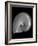 Usa, Nautilus Oblique-John Ford-Framed Photographic Print