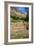 USA, Near Los Alamos, New Mexico, Bandelier National Monument, Big Kiva-null-Framed Giclee Print