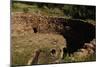 USA, Near Los Alamos, New Mexico, Bandelier National Monument, Big Kiva-null-Mounted Giclee Print